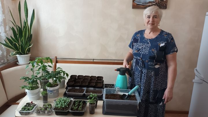 Жительница Мамадыша выращивает сотни сортов томатов на своём участке