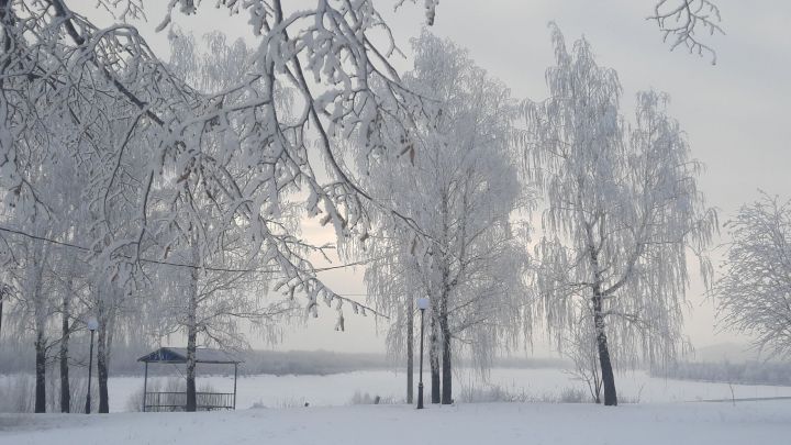 Народные приметы на 4 февраля