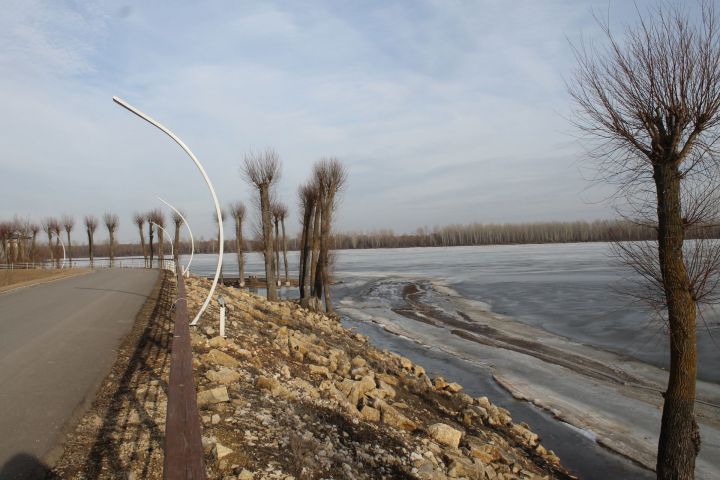 Гороскоп на 19 марта 2023 года