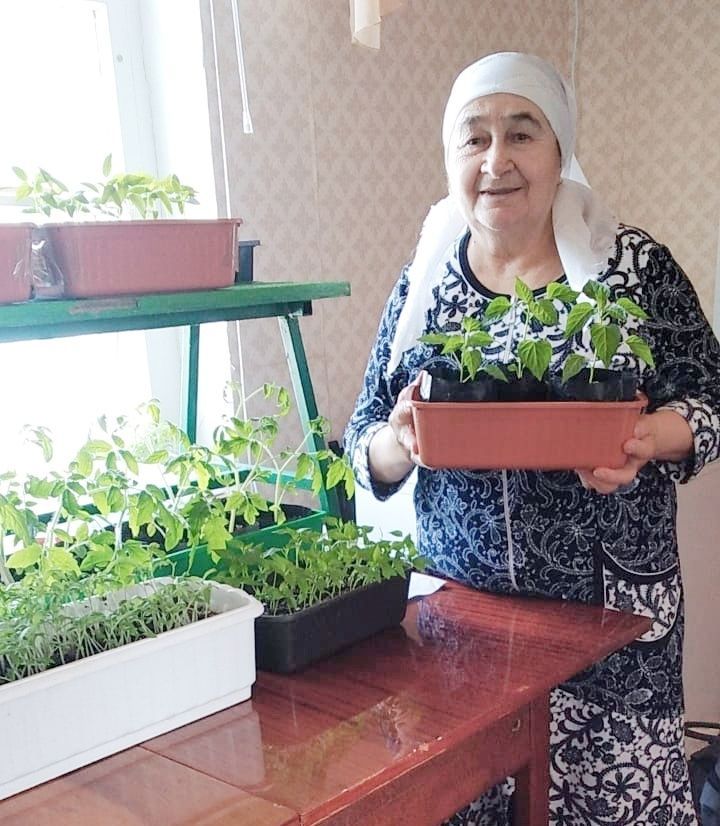 Урожай начинается с подоконника