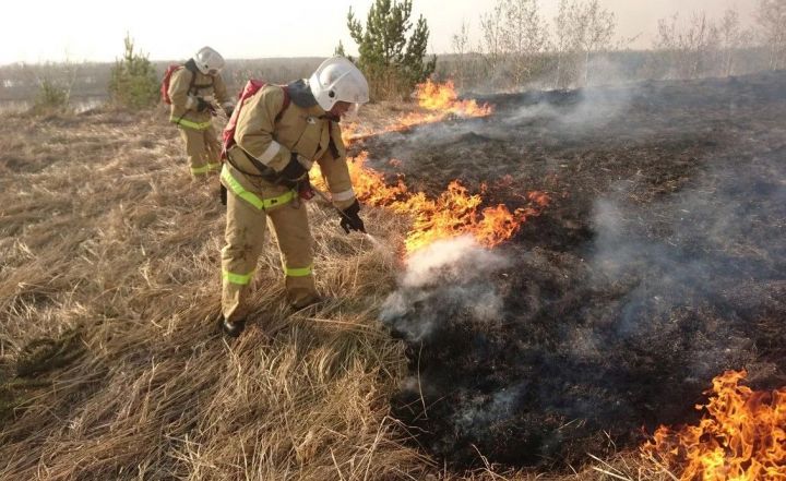 Татарстанцев предупредили об опасности и вреде весеннего пала травы