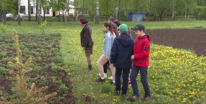 В школах Мамадышского района уроки технологии проводят на свежем воздухе