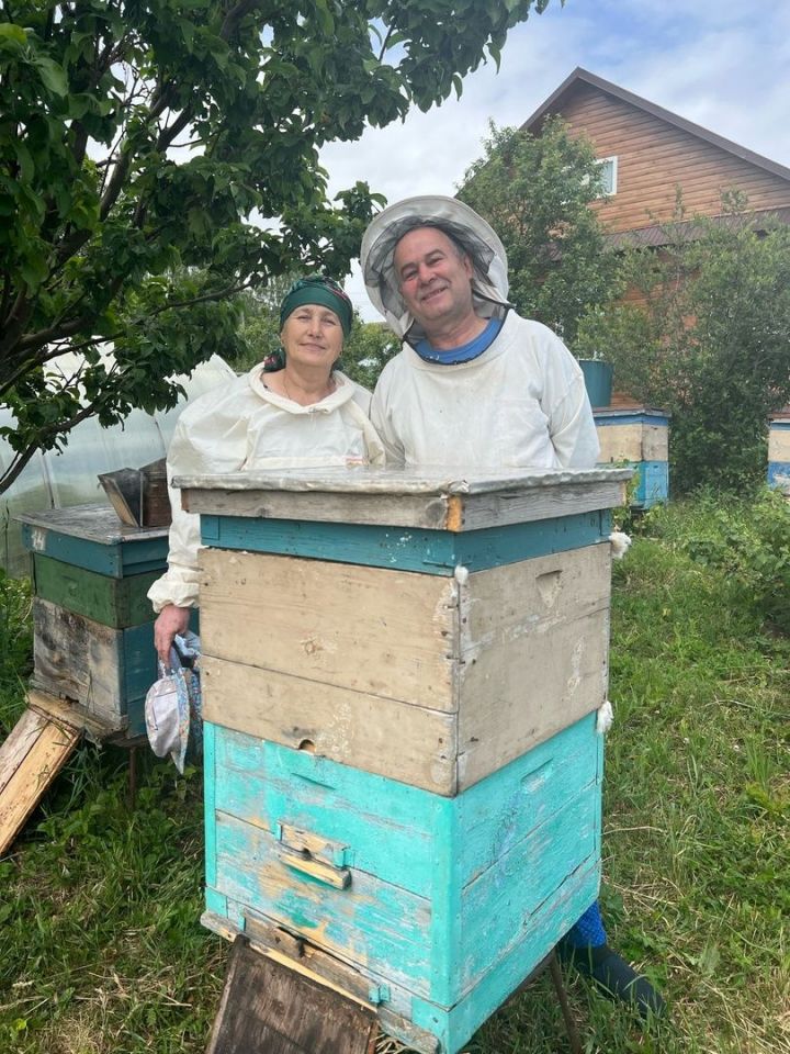 Мамадышские пчеловоды бьют тревогу
