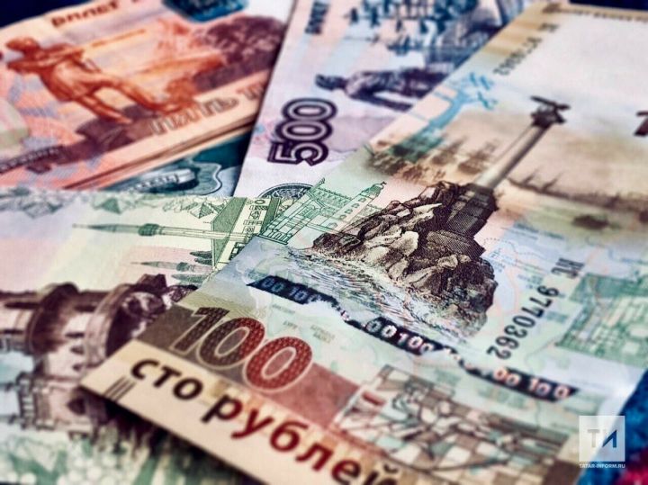 В результате победы в федеральном конкурсе Татарстану выделено 8,5 миллиона рублей на развитие добровольчества