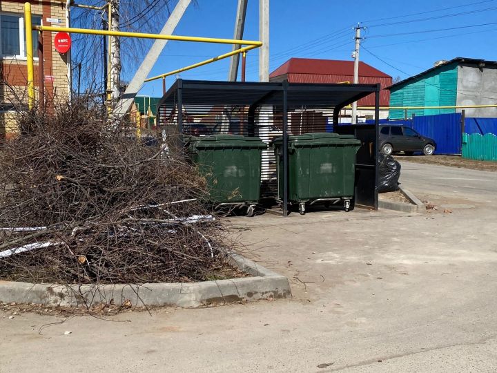 В Мамадыше за время санитарно-экологического двухмесячника выявили 60 нарушителей