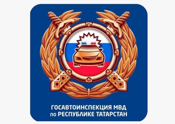 В Мамадыше пройдет оперативно-профилактическое мероприятие «Ремень безопасности»