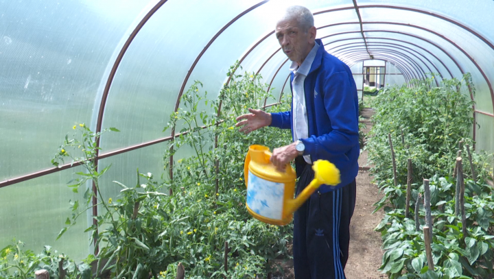 Житель Мамадышского дома престарелых выращивает овощи