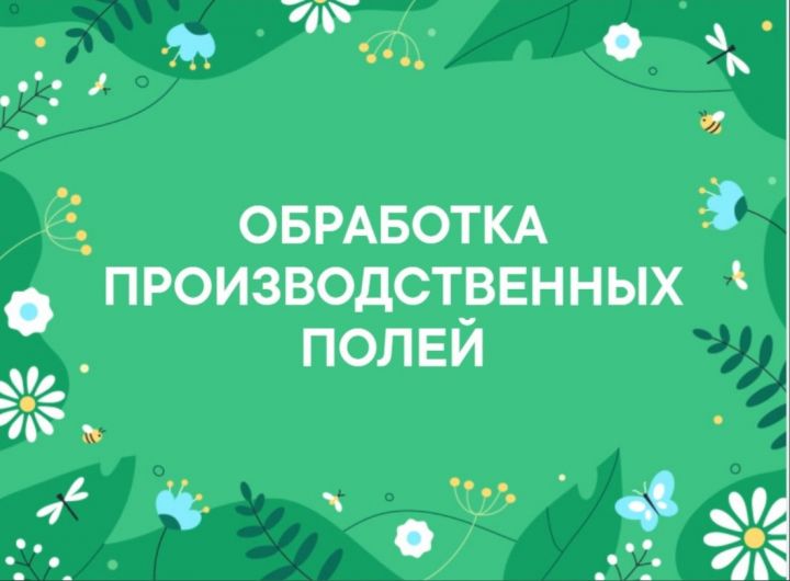 В Мамадышском районе проведут очередную обработку полей