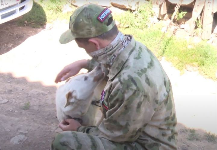 В село Олуяз Мамадышского района домой на побывку приехал солдат с позывным «Тихий»