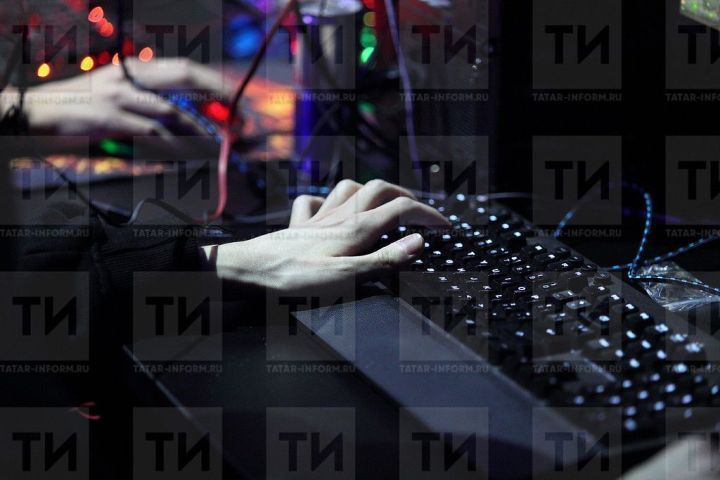 Мамадышские программисты рассказали о том, как пришли в профессию
