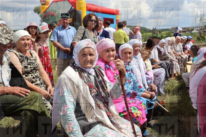 План мероприятий в Мамадышском районе, приуроченный к Декаде пожилых