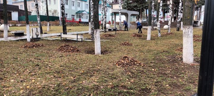 Мамадышцев приглашают принять участие в общегородском субботнике