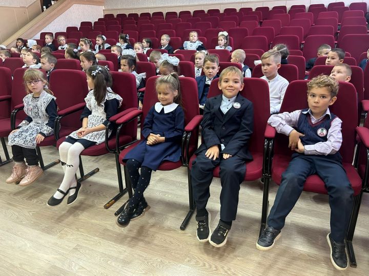 В Мамадыше отметили День лицеиста