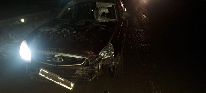 В Мамадышском районе произошел смертельный наезд на пешехода