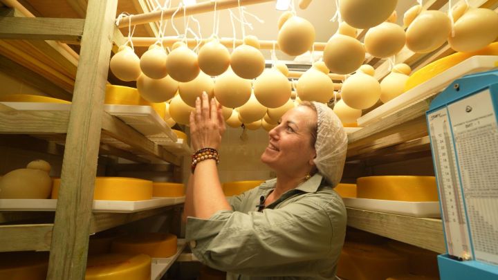 В РТ более 420 фермеров и сельскохозяйственных кооперативов получили поддержку благодаря нацпроекту