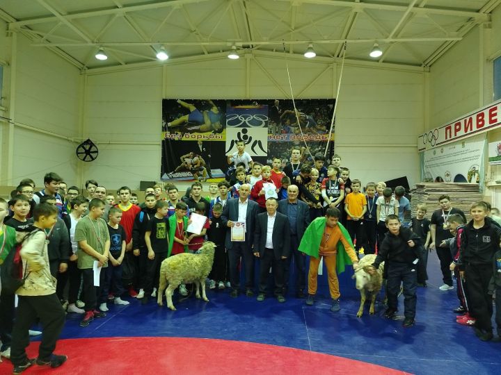 В Мамадыше прошел IX Открытый районный турнир по корэш