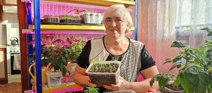 Жительница Мамадыша Любовь Сальникова поделилась секретами выращивания лука