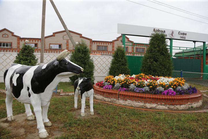 Свой юбилей отметит филиал общества с ограниченной ответственностью “Азбука сыра” «Мамадышский завод”