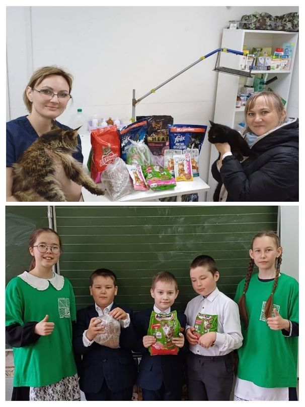 Школьники села Большая Шия собрали корм для бездомных четвероногих питомцев