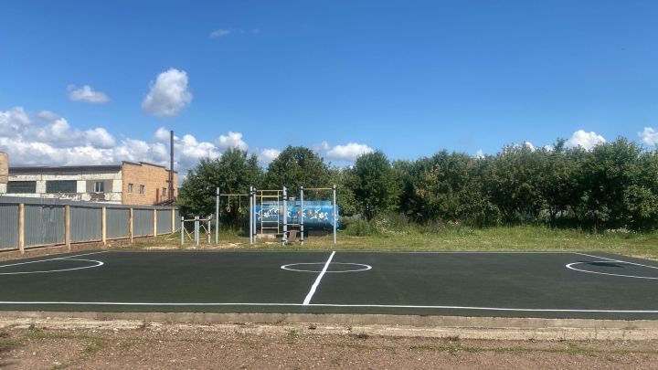 В социальном приюте «Надежда» обновили спортивную площадку