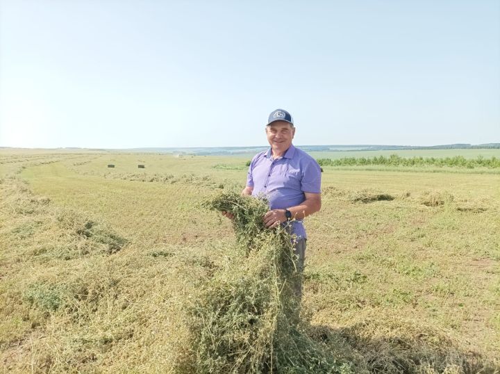 На полях Мамадышского района разгар кормозаготовки