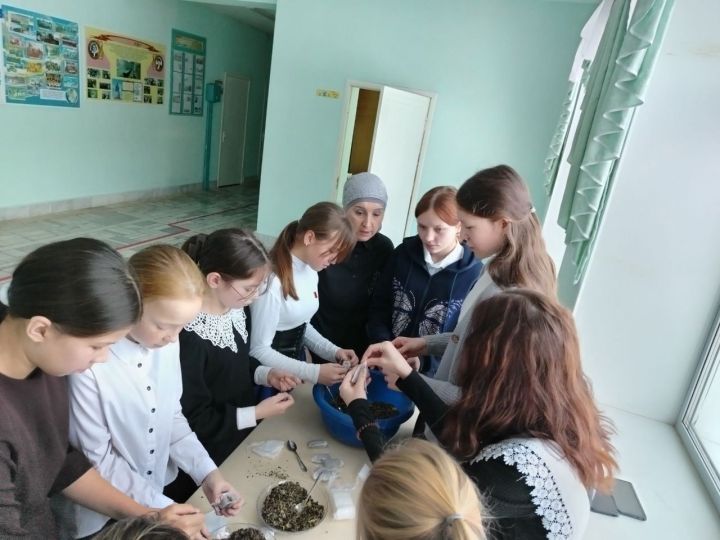 В Таканышской школе реализуется проект Полезные перемены - помощь участникам СВО