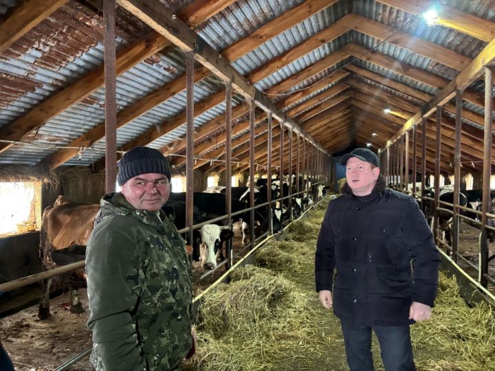 В Дюсьметьевском сельском поселении состоялся сход граждан