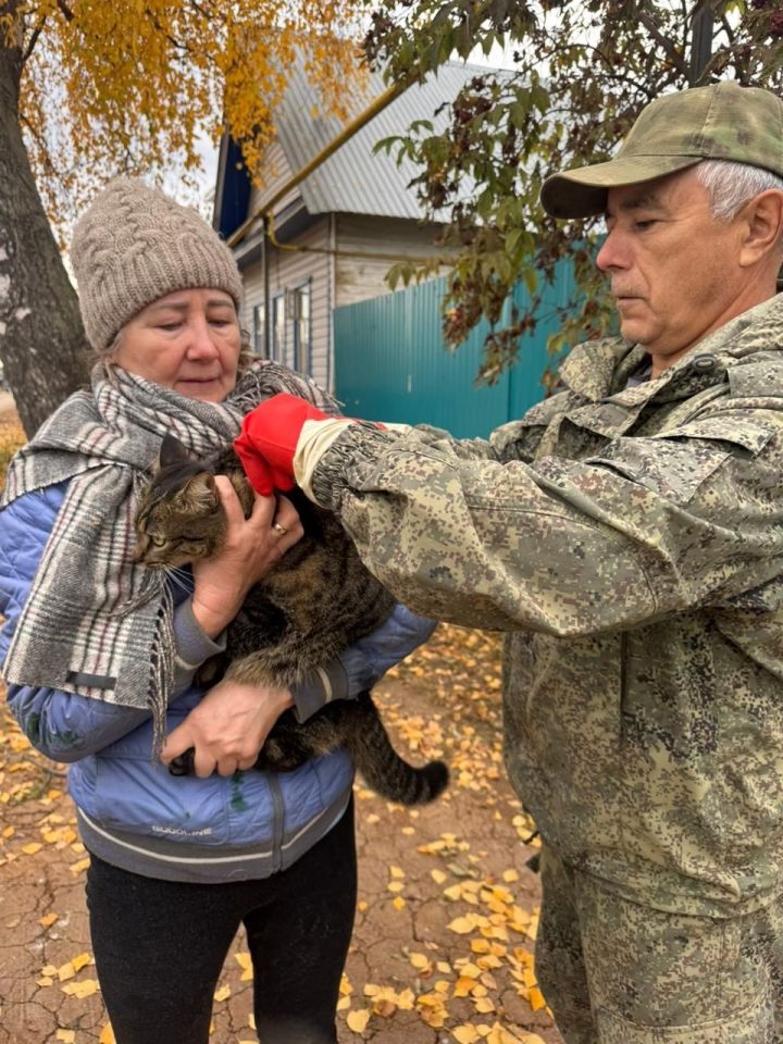 В Мамадыше провели массовую вакцинацию и чипирование домашних животных