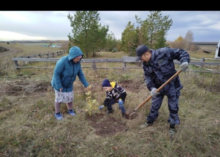 Стартовала экологическая эстафета в Мамадышском районе