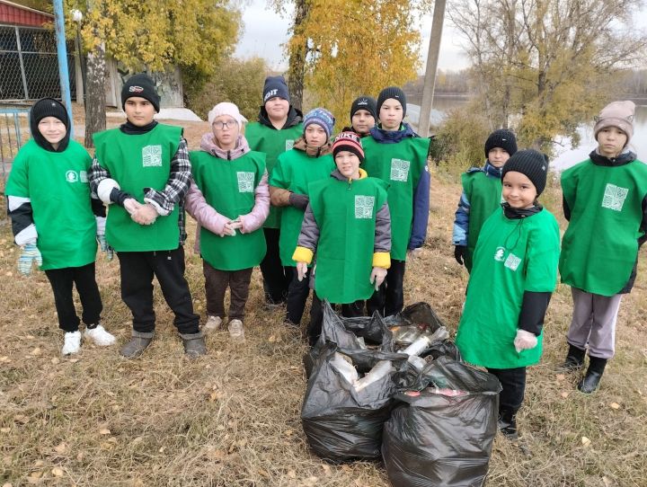Стартовала экологическая эстафета в Мамадышском районе