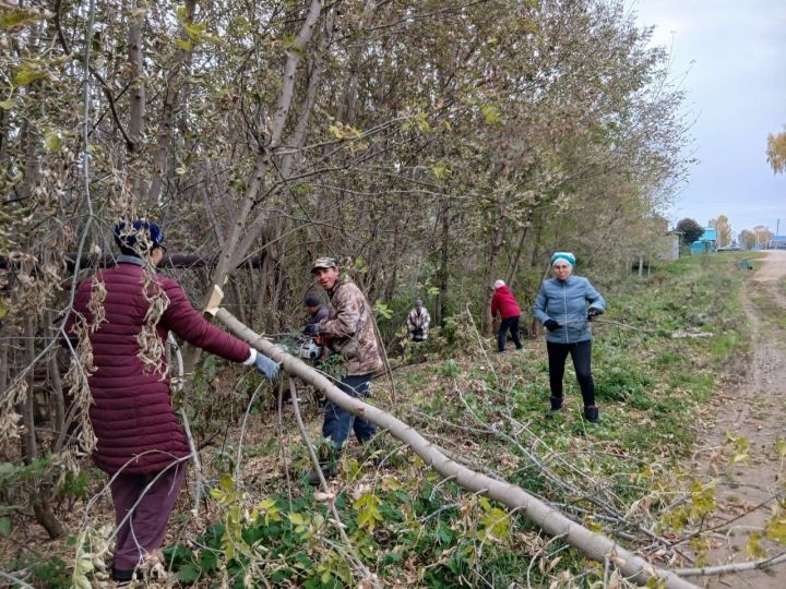 Жители села Куюк-Ерыкса провели экологическую акцию «Чистый берег»