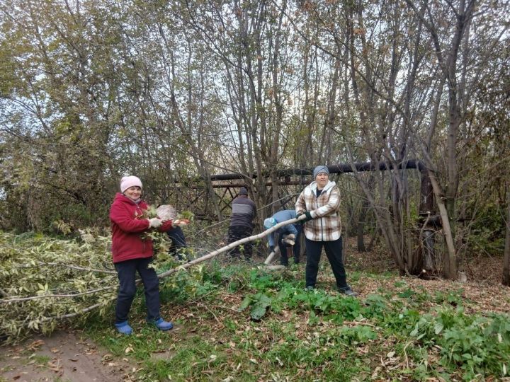 Жители села Куюк-Ерыкса провели экологическую акцию «Чистый берег»
