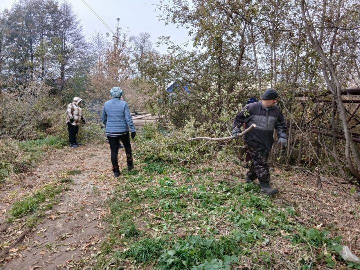 Жители села Куюк-Ерыкса провели экологическую акцию «Чистый берег»