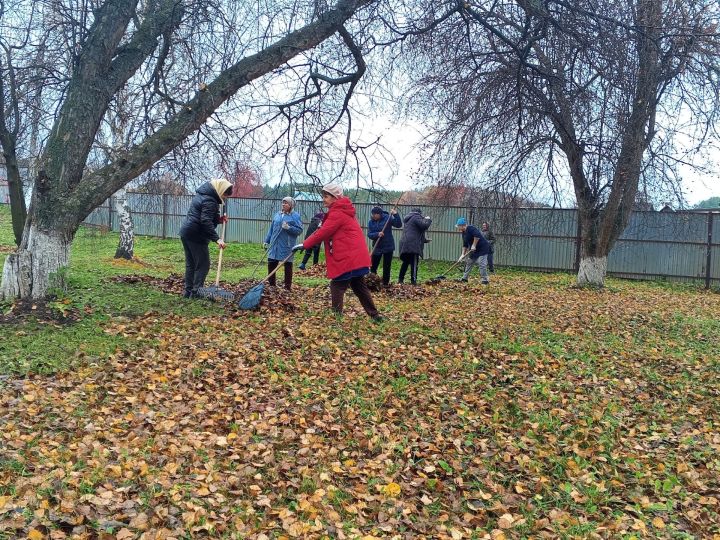 Студенты-волонтеры благоустроили территорию Мамадышского дома-интерната