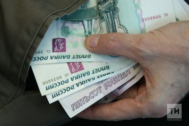 Прожиточный минимум в Татарстане повысится в 2026 году