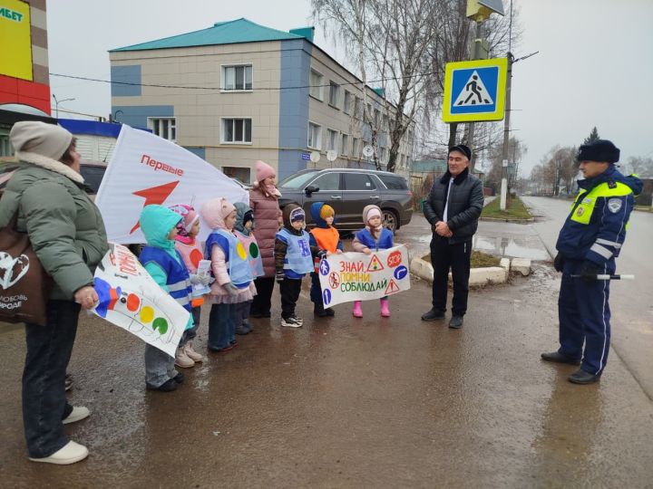 В Мамадыше прошла акция «Водитель, помни о нас»