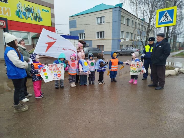 В Мамадыше прошла акция «Водитель, помни о нас»