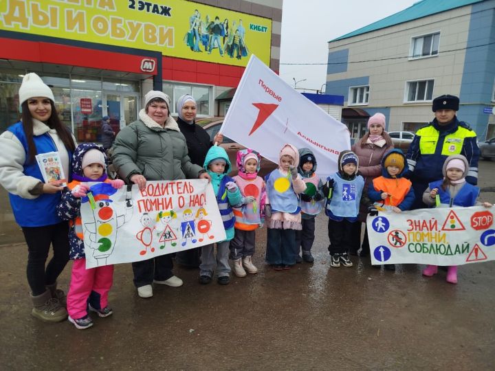 В Мамадыше прошла акция «Водитель, помни о нас»