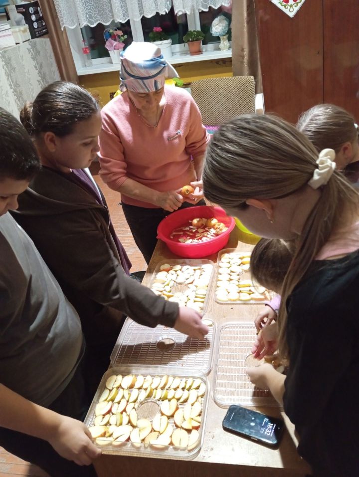 Школьники Мамадышского района помогли собрать посылки для участников СВО