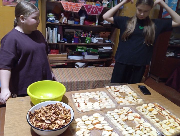 Школьники Мамадышского района помогли собрать посылки для участников СВО