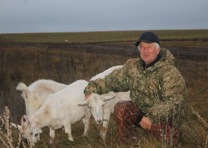 Мамадышский онлайн-базар: как фермеры находят покупателей через интернет