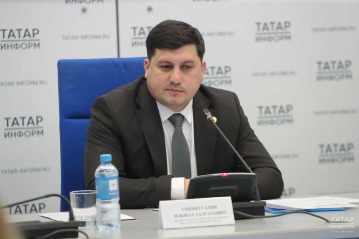 Татарстан ужесточает контроль за бродячими собаками после череды трагедий