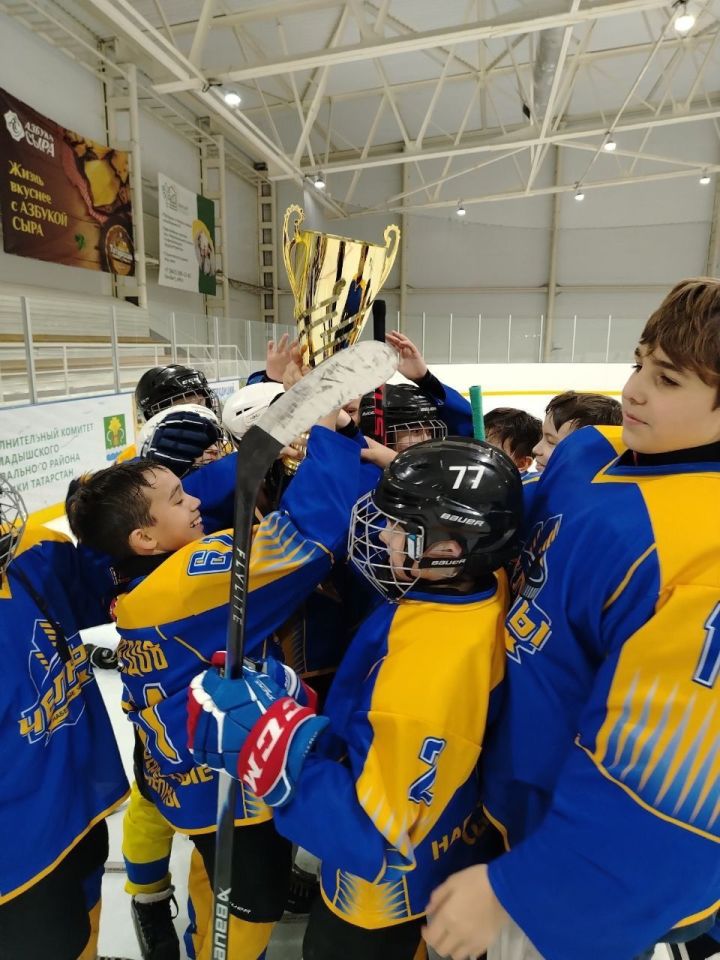Юные хоккеисты выиграли Кубок Деда Мороза в Мамадыше