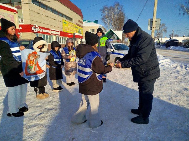 В Мамадыше прошла профилактическая акция «Автокресло»