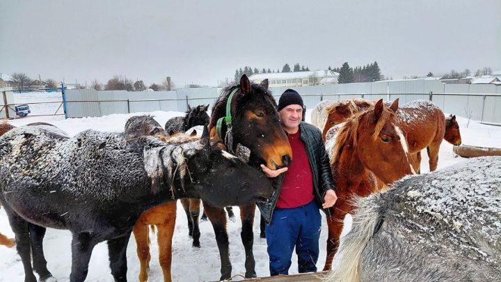 Анас Каримуллин нашел новое призвание в фермерстве