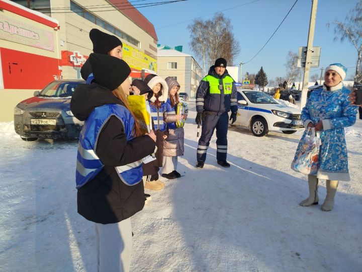 В Мамадыше прошла профилактическая акция «Автокресло»