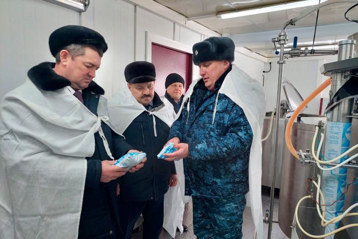 Замглавы Мамадышского района посетил с колонию-поселение №17