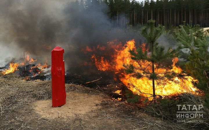 Штраф до 800 тысяч: что нельзя делать в Татарстане до 11 мая