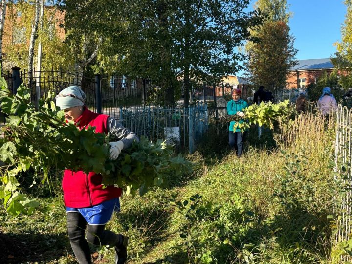 Мамадышцев приглашают принять участие на общегородском субботнике