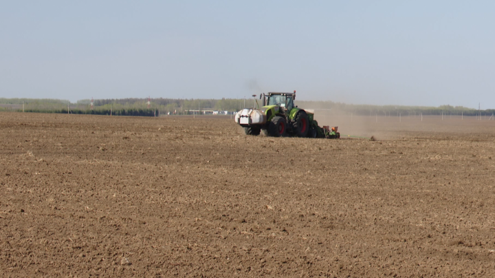 Весенне-полевые работы в Мамадышском районе в самом разгаре